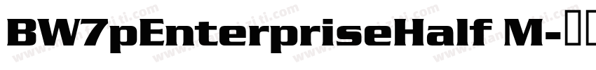 BW7pEnterpriseHalf M字体转换